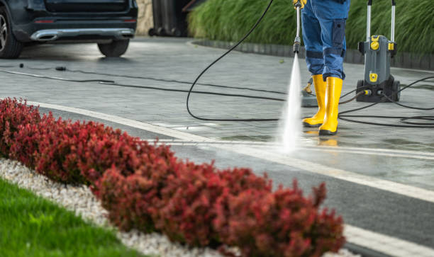 Best Animal Enclosure Cleaning  in Oxon Hill, MD